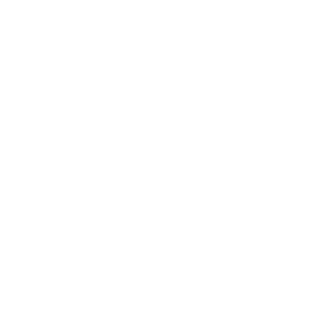 Dogzilla Animation Studio